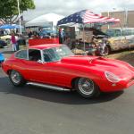 DR_Crusin4Cure_0081 (September 28, 2019)